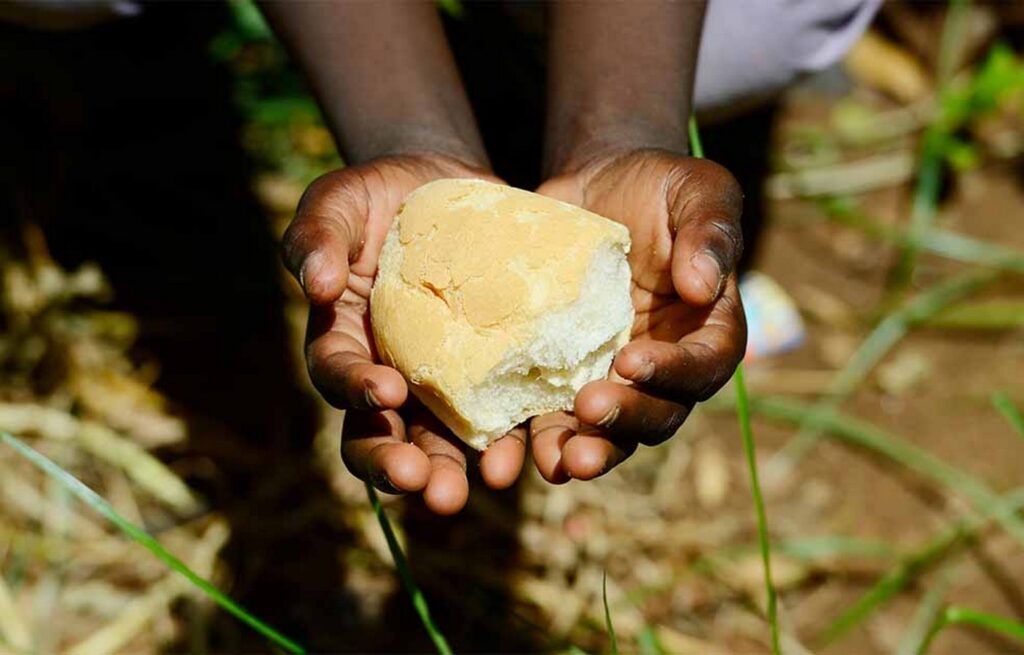 Ancient Breadmaking: A Tradition of Australian Aboriginals